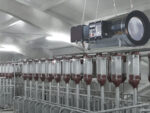 Biemmedue GA N 115C viseći gasni grejač 116 kW